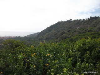mpa Falconiera-30-03-2013 09-18-26